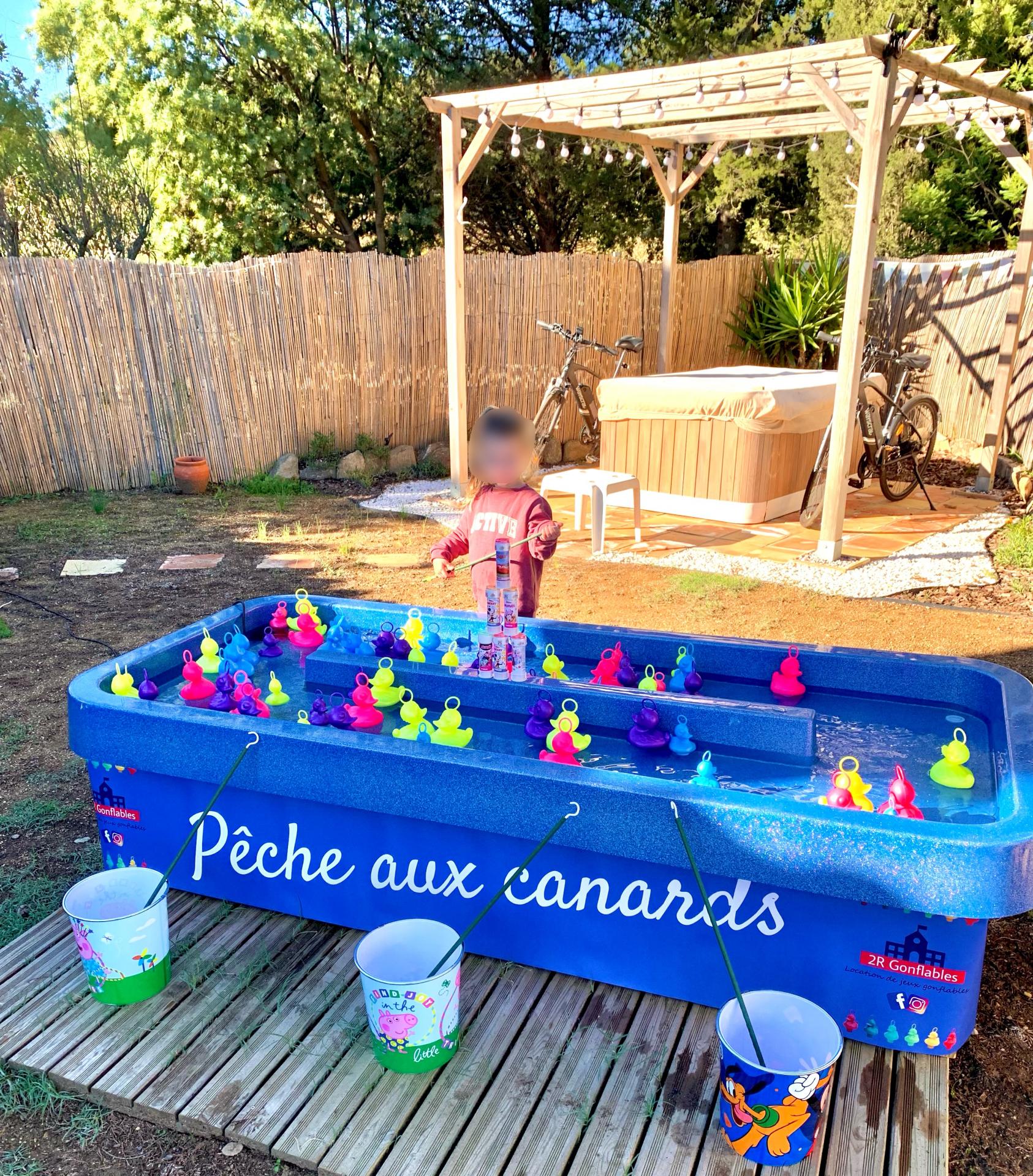 Pêche aux canards